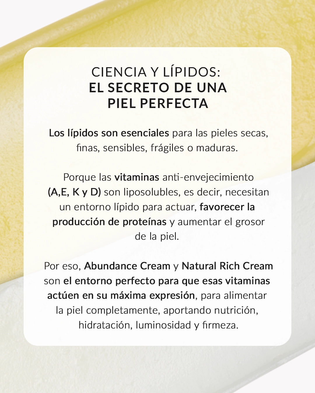 Dúo piel perfecta día y noche | pack Natural Rich y Abundance