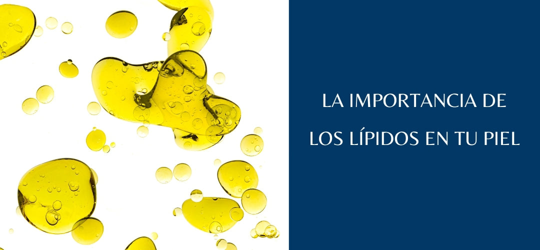 La importancia de los lípidos
