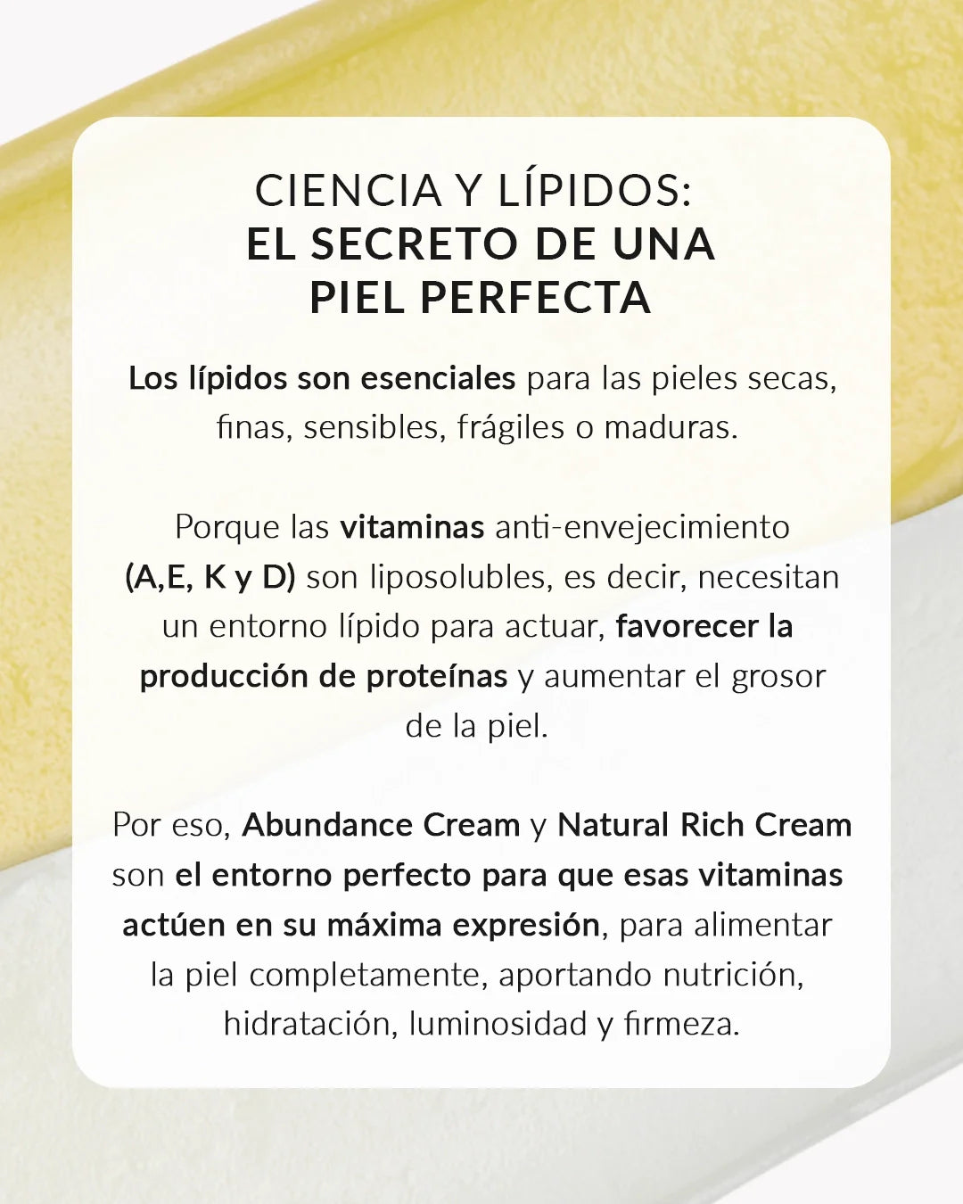 Dúo Piel Perfecta Día y Noche